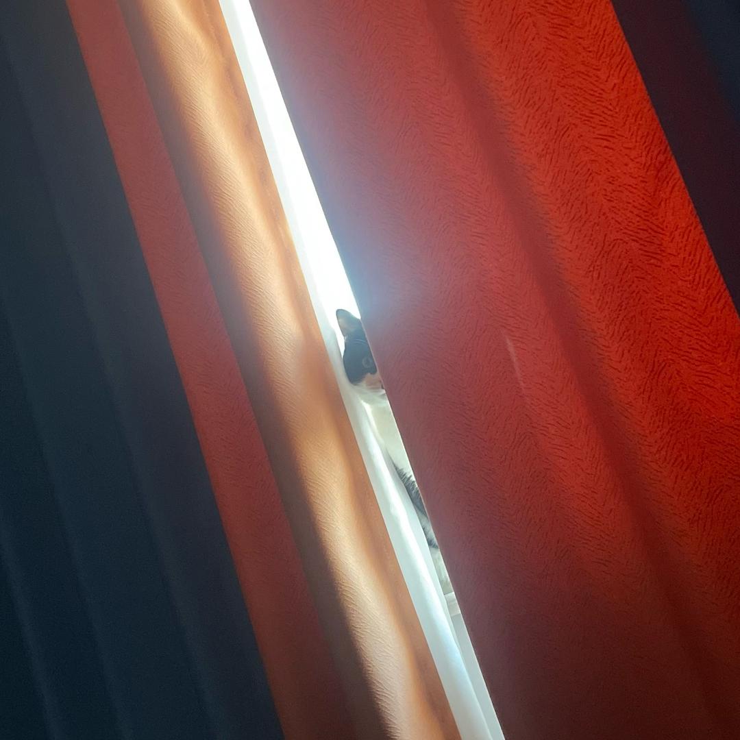 潍坊金融嘎嘣脆🏦