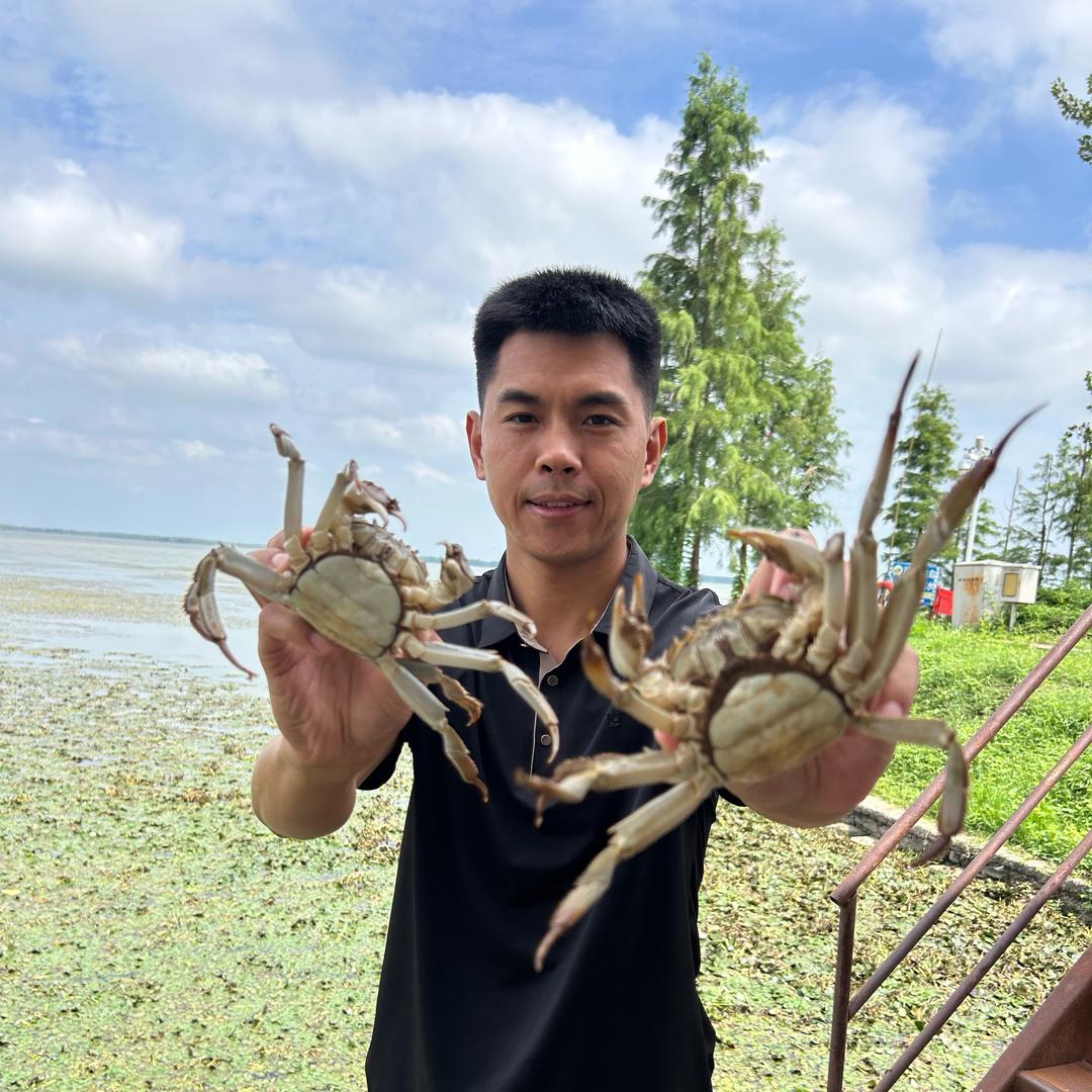 沱湖螃蟹有点甜