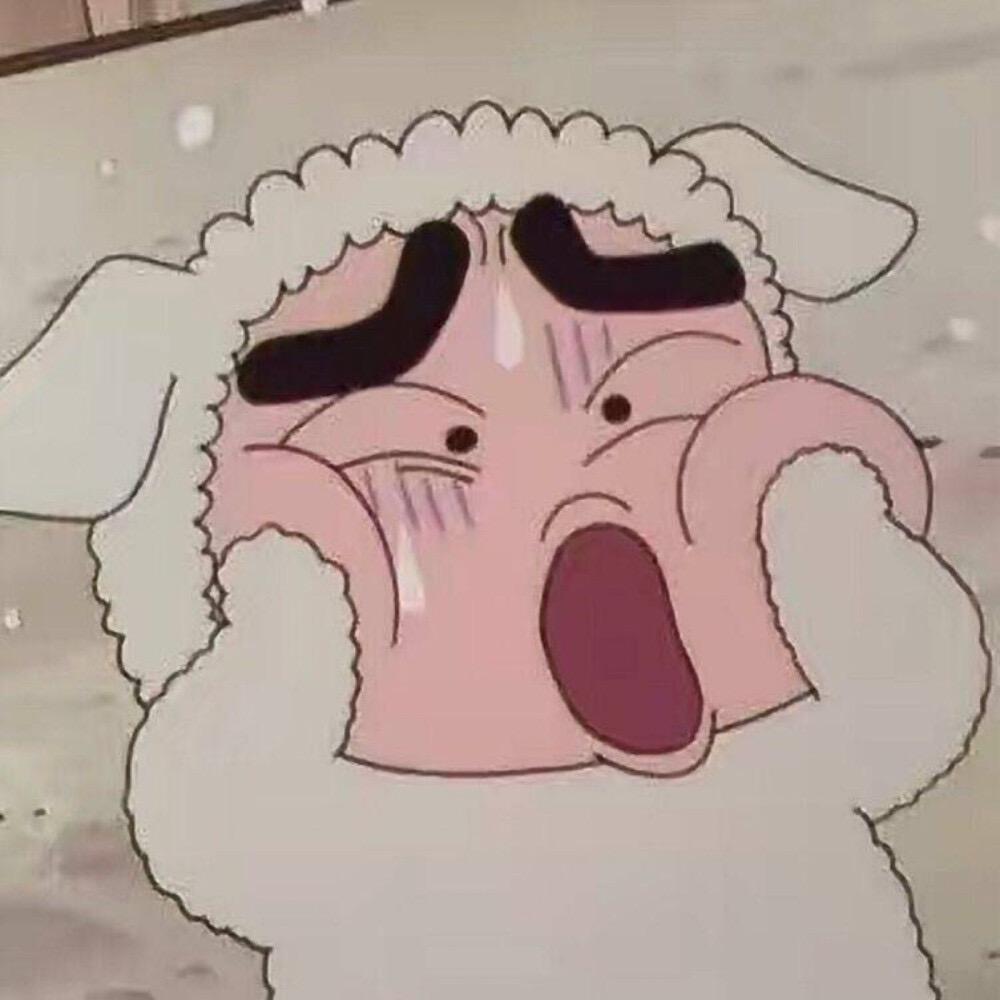 二哈动漫