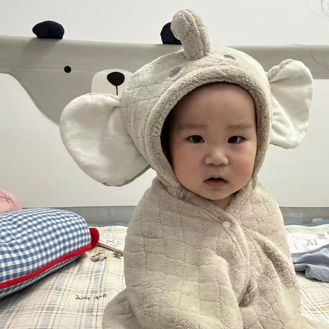 阳台上的仙人球