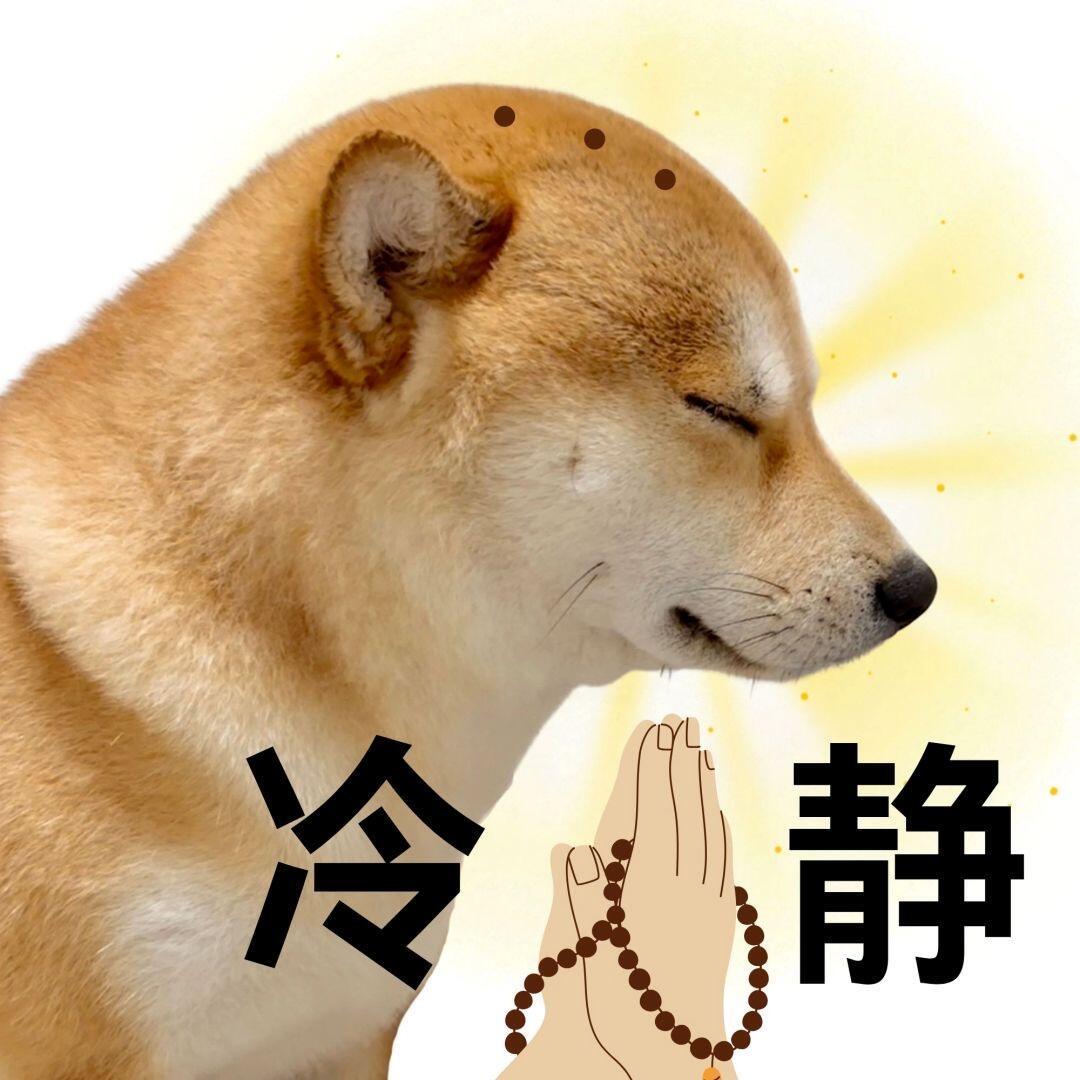 茶宝在杭州