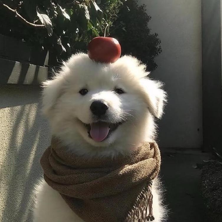 禾川
