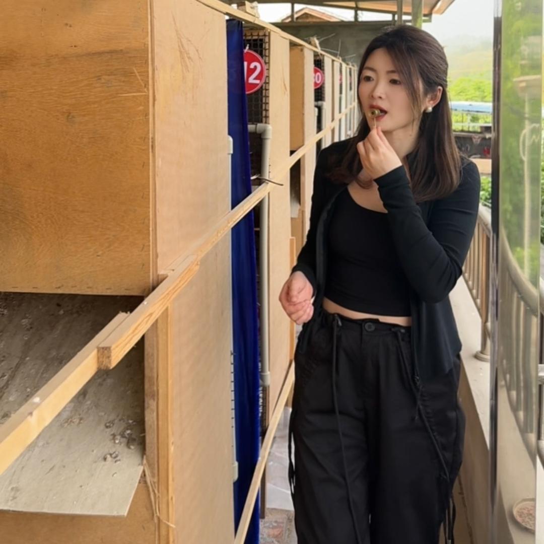 养竹鸡的幺妹儿