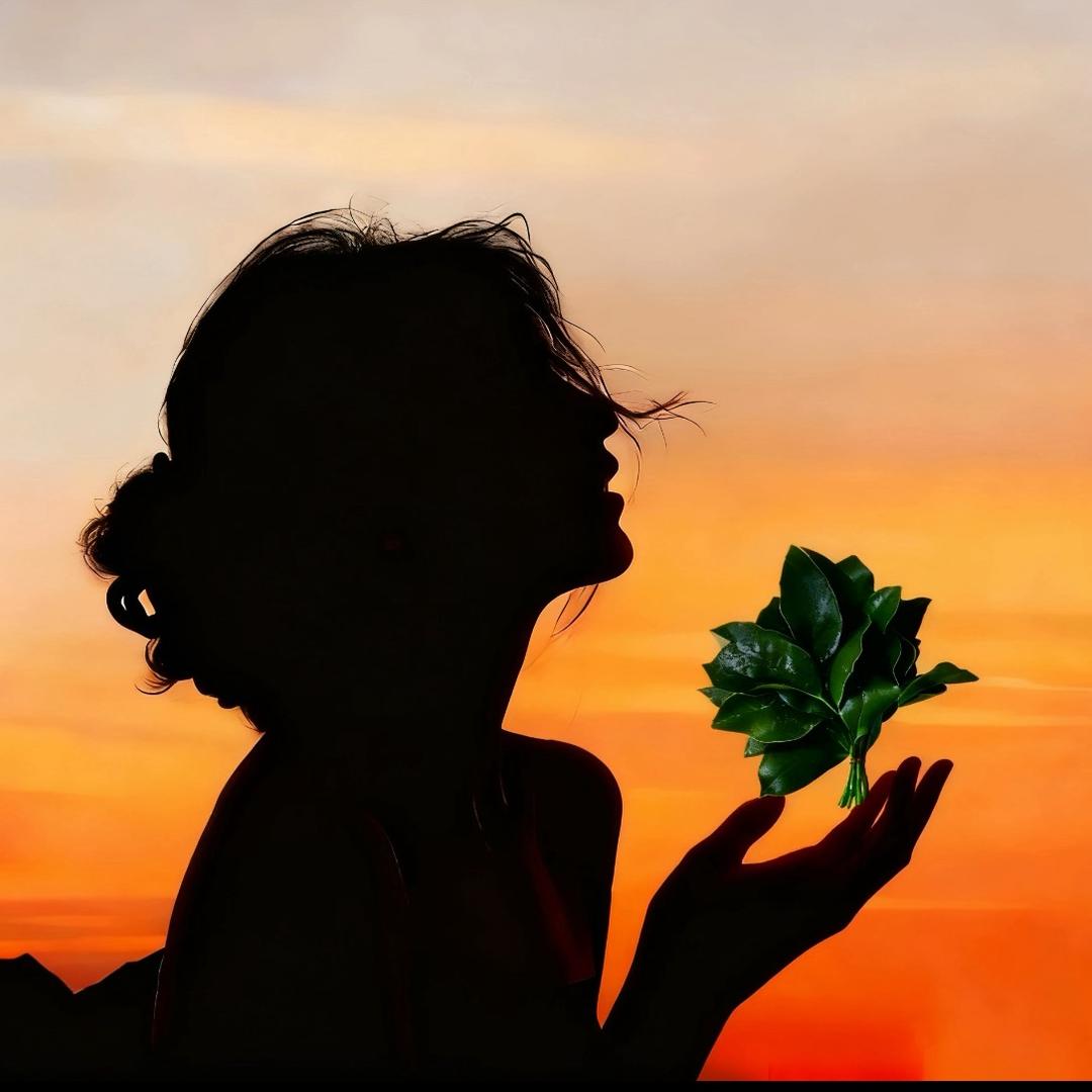 柠檬•怀旧音乐电台🎶