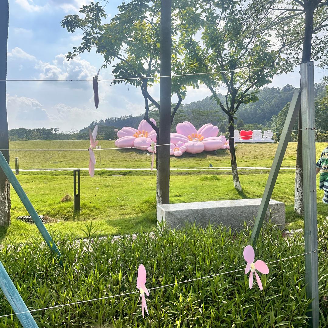 🍃🌺暖心🌸🍃向阳