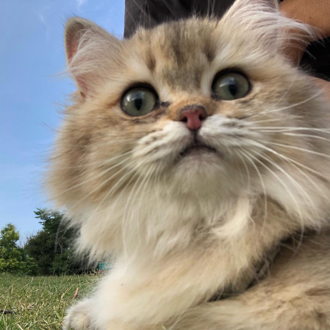 满山猴子我腚最红