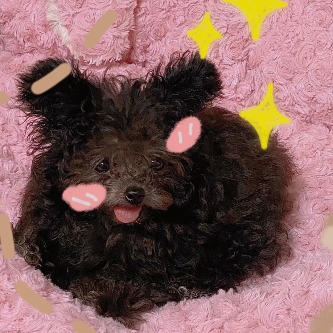 樊樊来啦