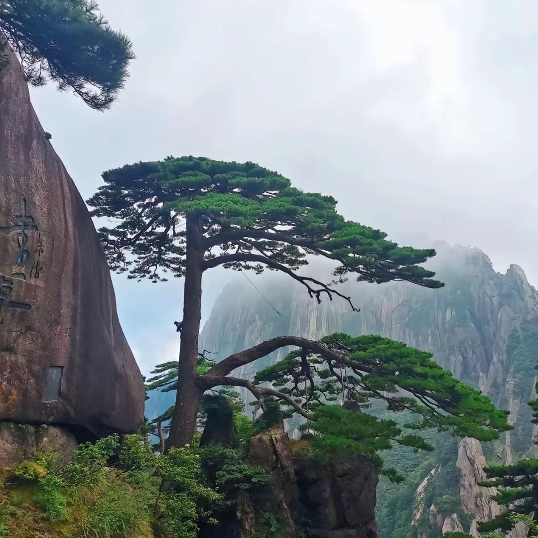 快乐人生⁶⁶⁶