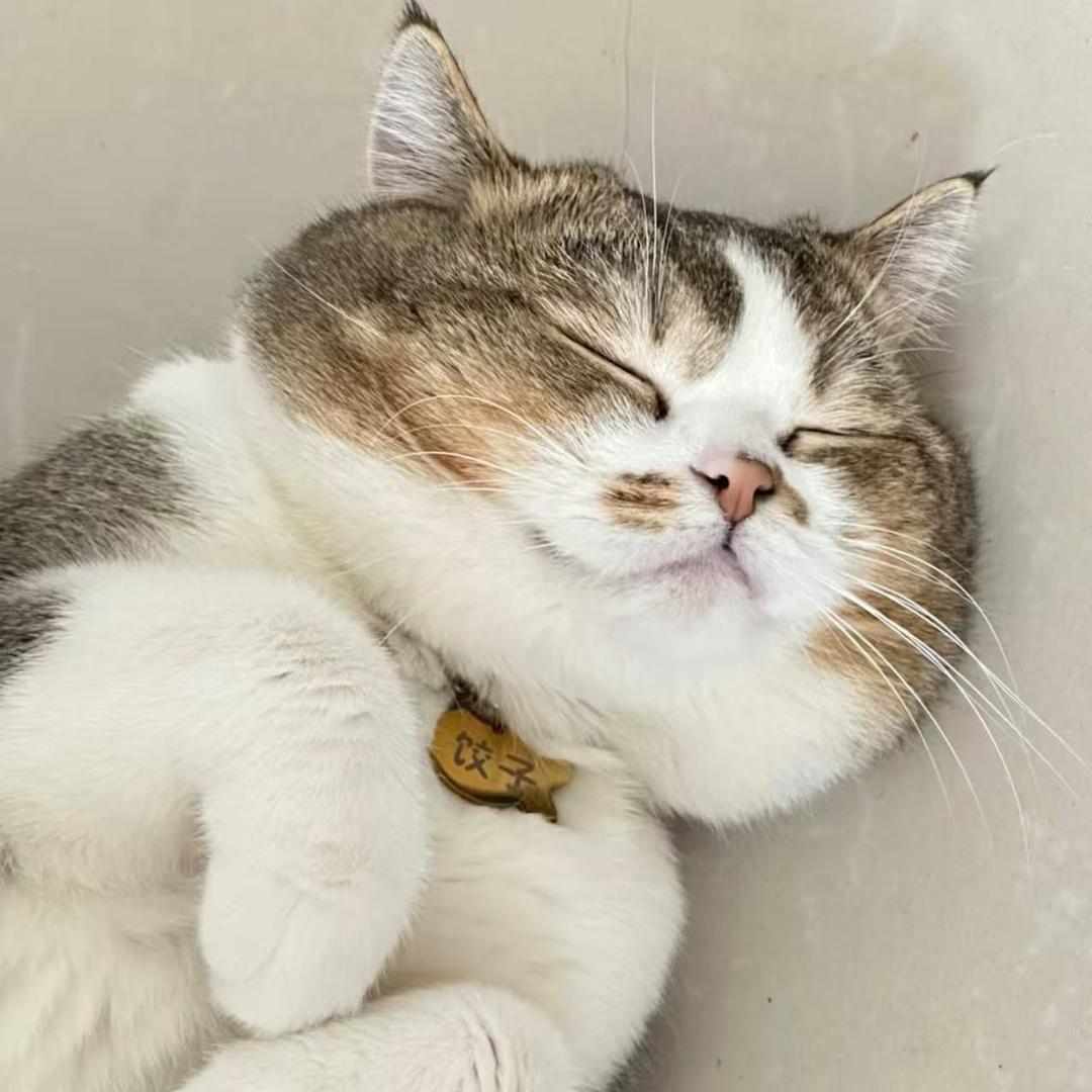 哈哈哈123