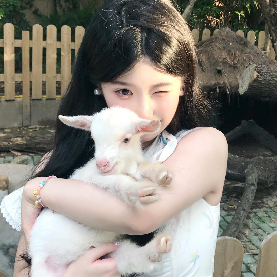今天也没有变成娃娃菜