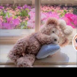 装修小桃🍑（穷装版）