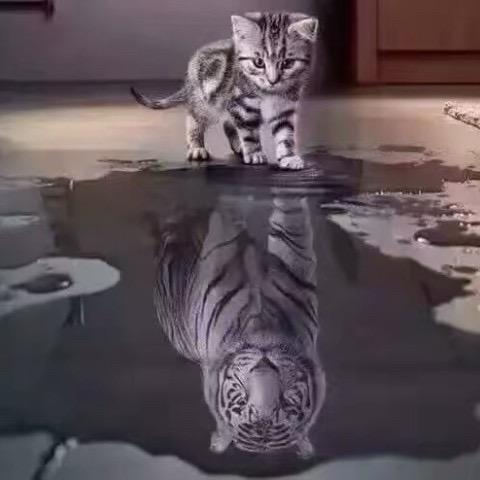 纪先生