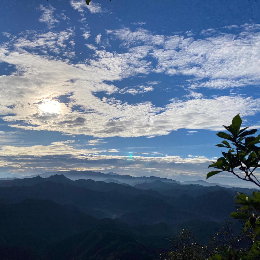 前山此独晴