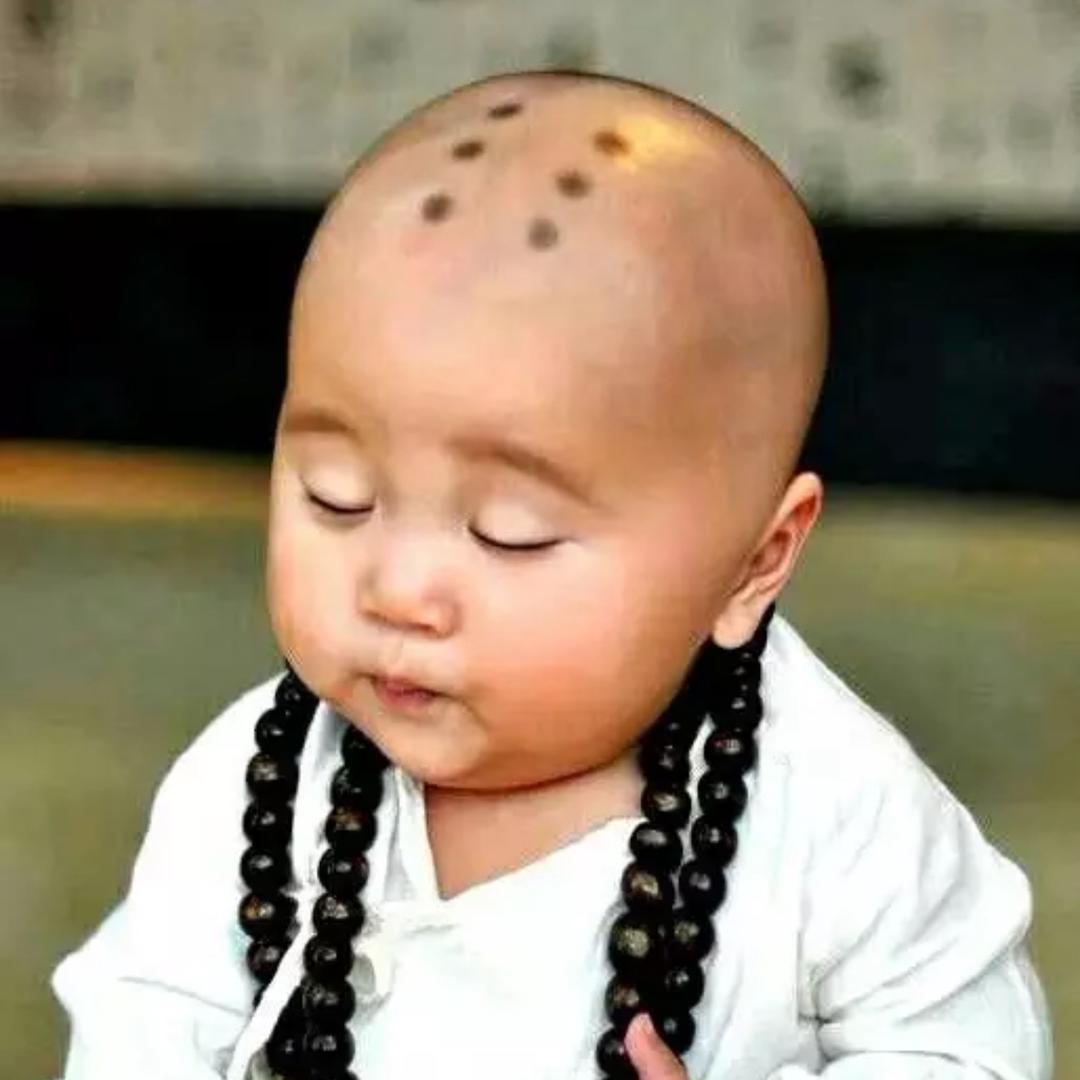 老衲只沾花不惹草