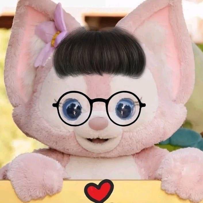 11号入口的猫