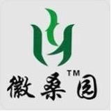 徽桑园桑茶