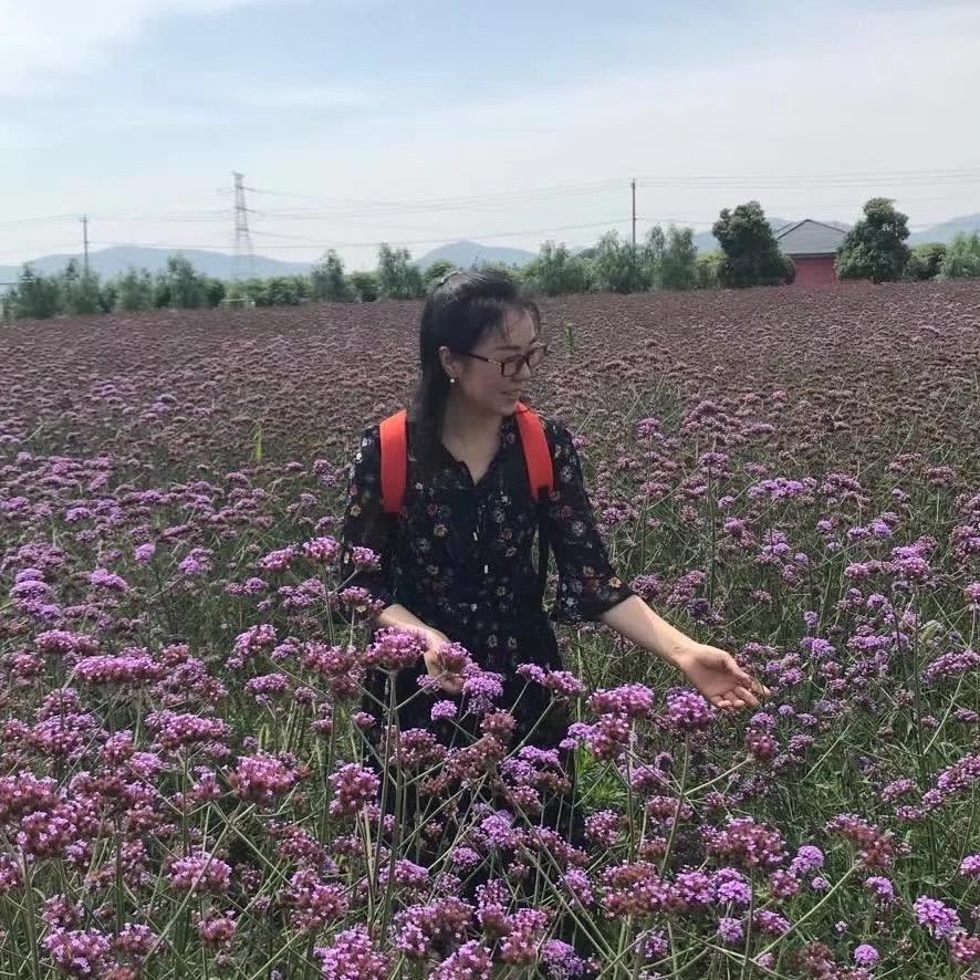 南京黎明