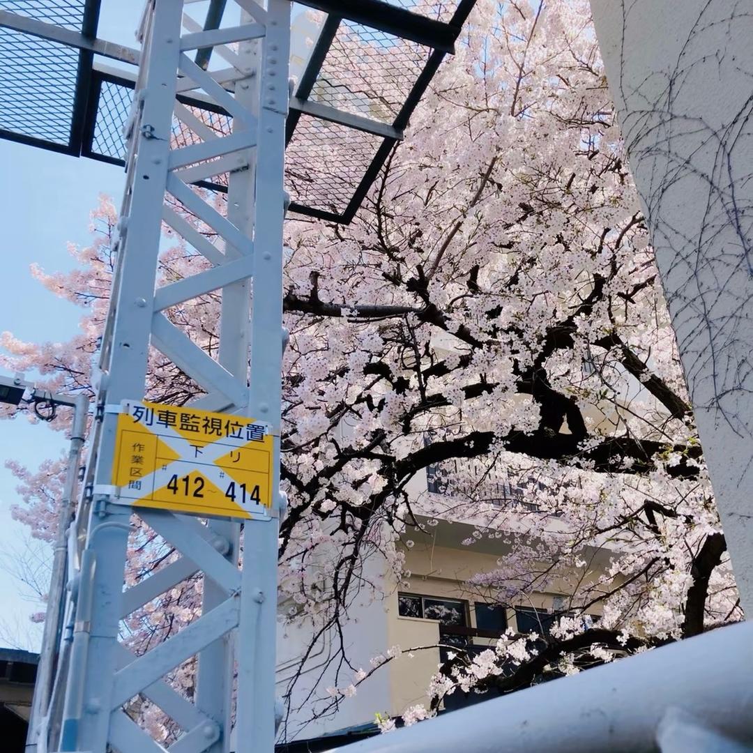 💰、唯有🌾向钱💗