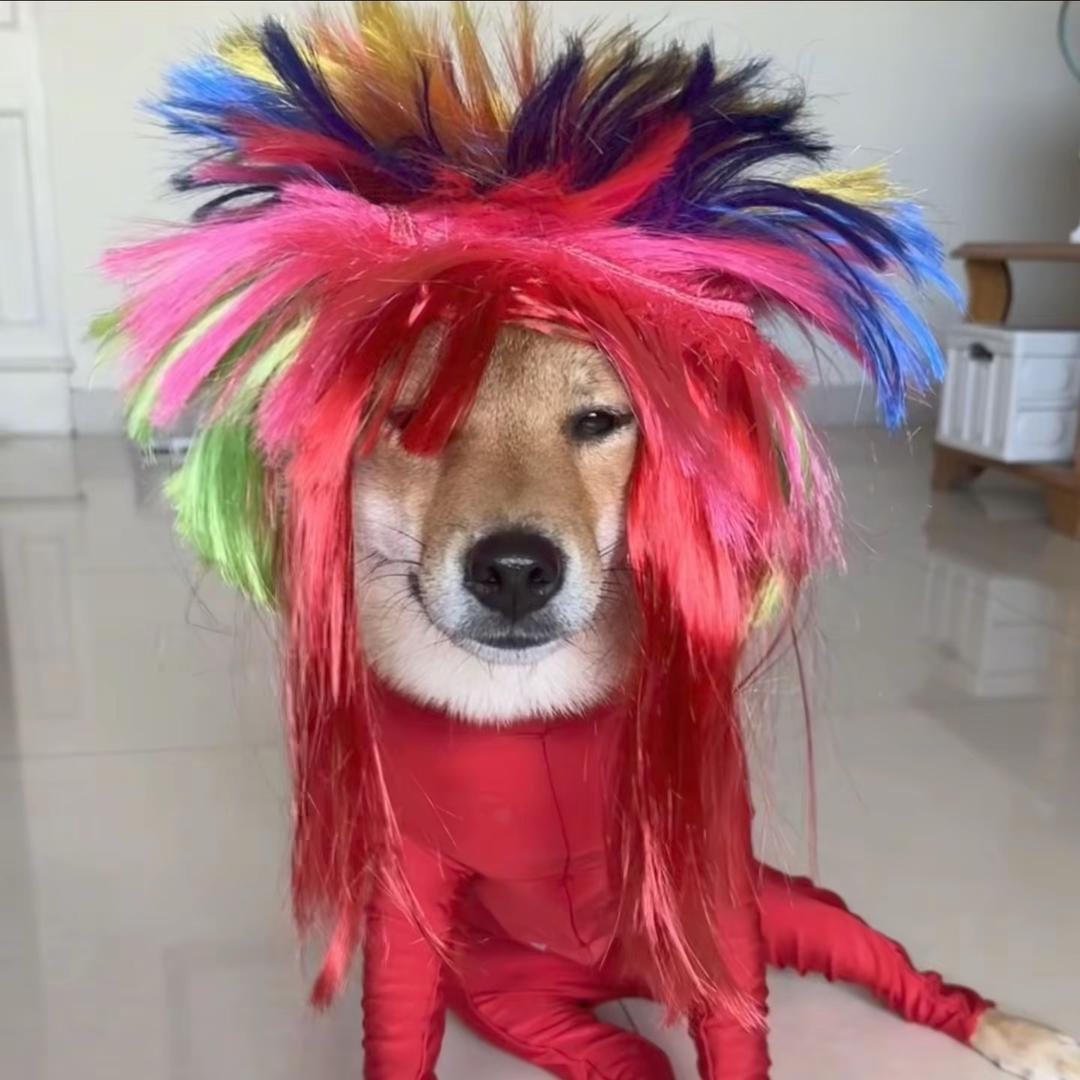 清婳