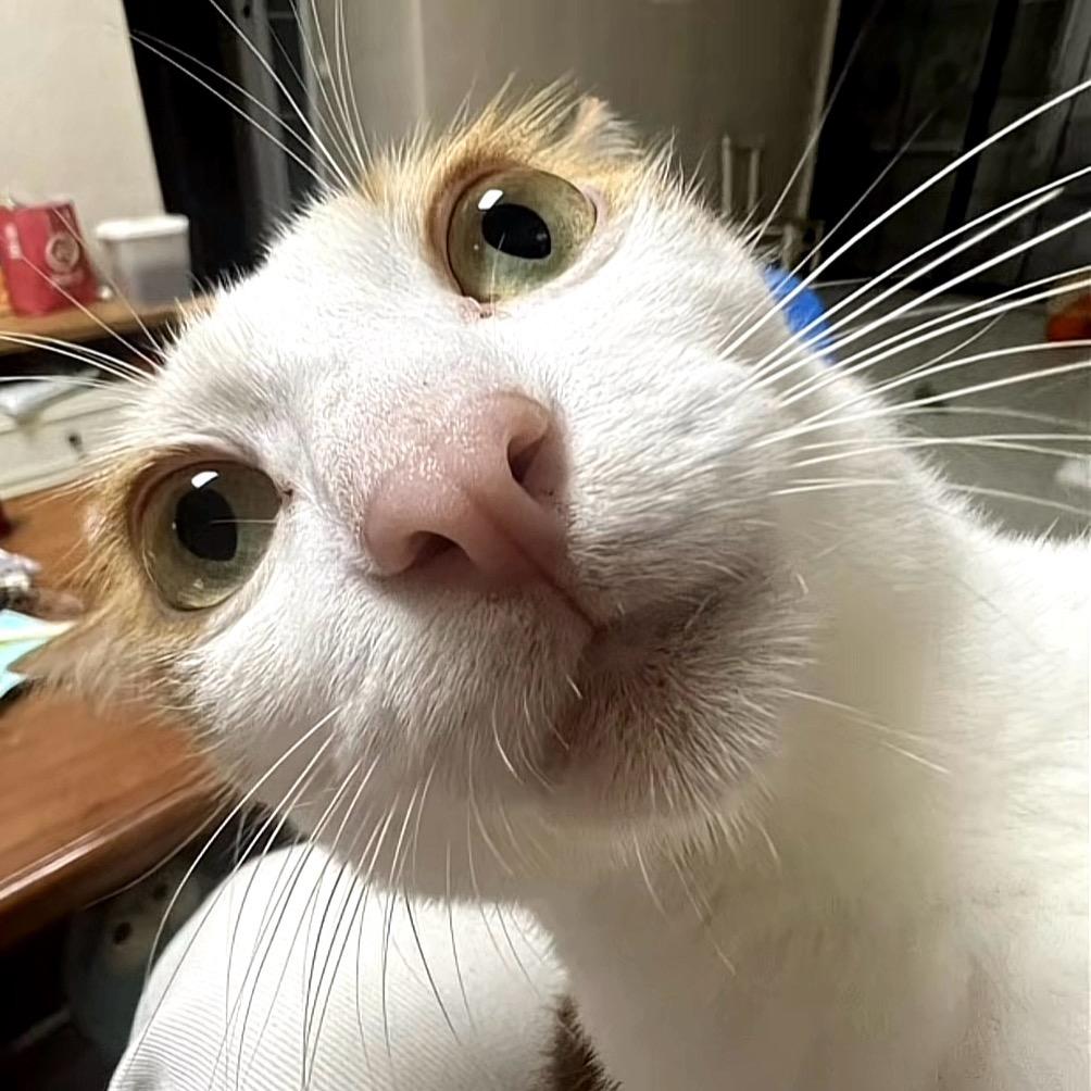h-.