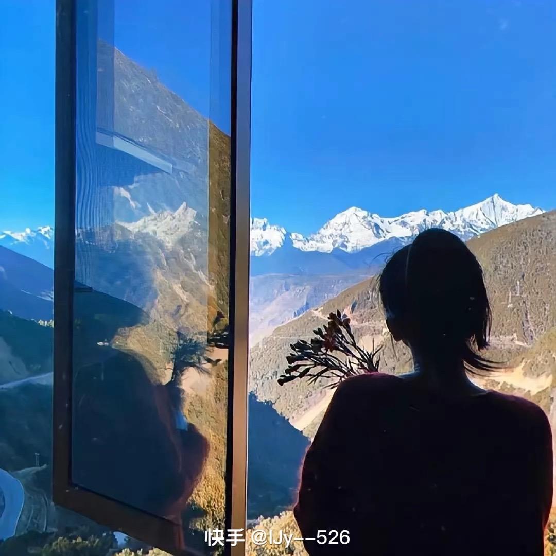 长青树