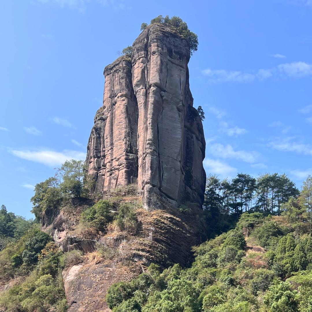 茶是好东西