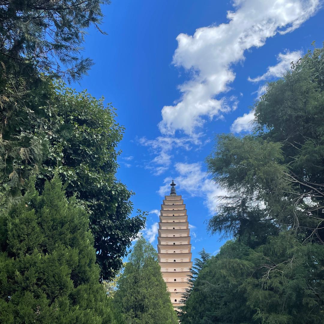 寅至✨