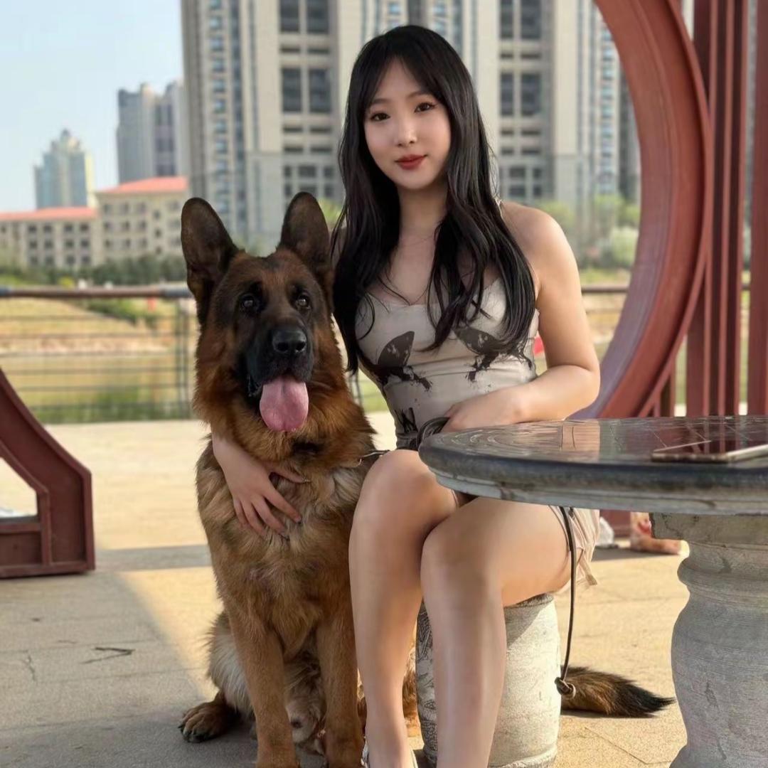 赛级德牧直播专场