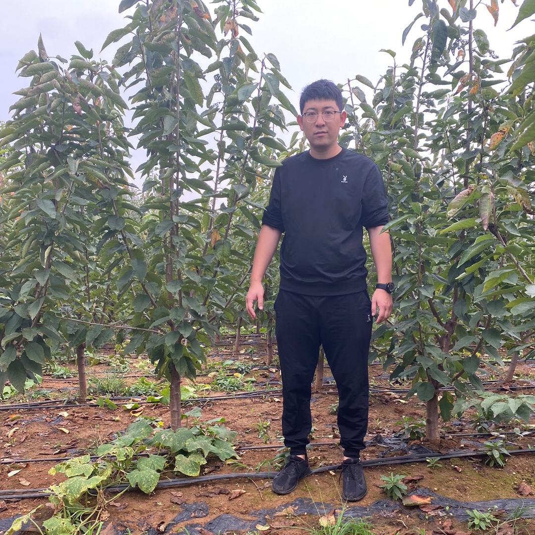 烟台市福山区隆源大樱桃专业合作社