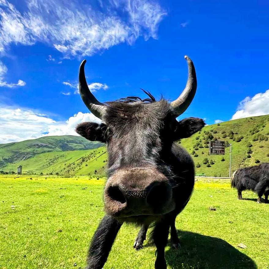 小青蛙🐸呱呱呱