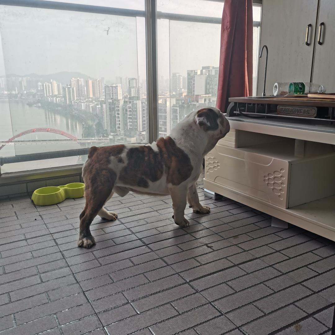 忙而不茫