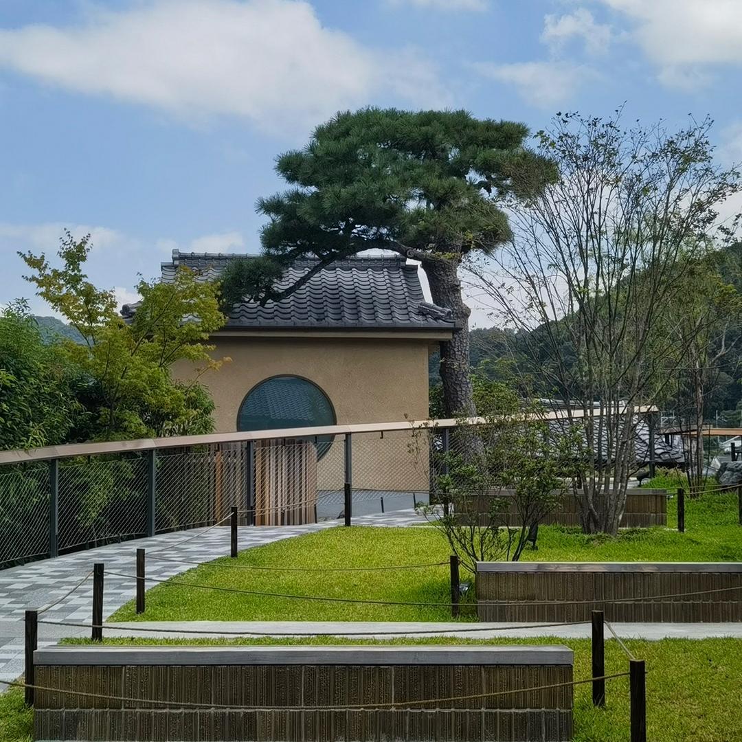 启腾造型松基地