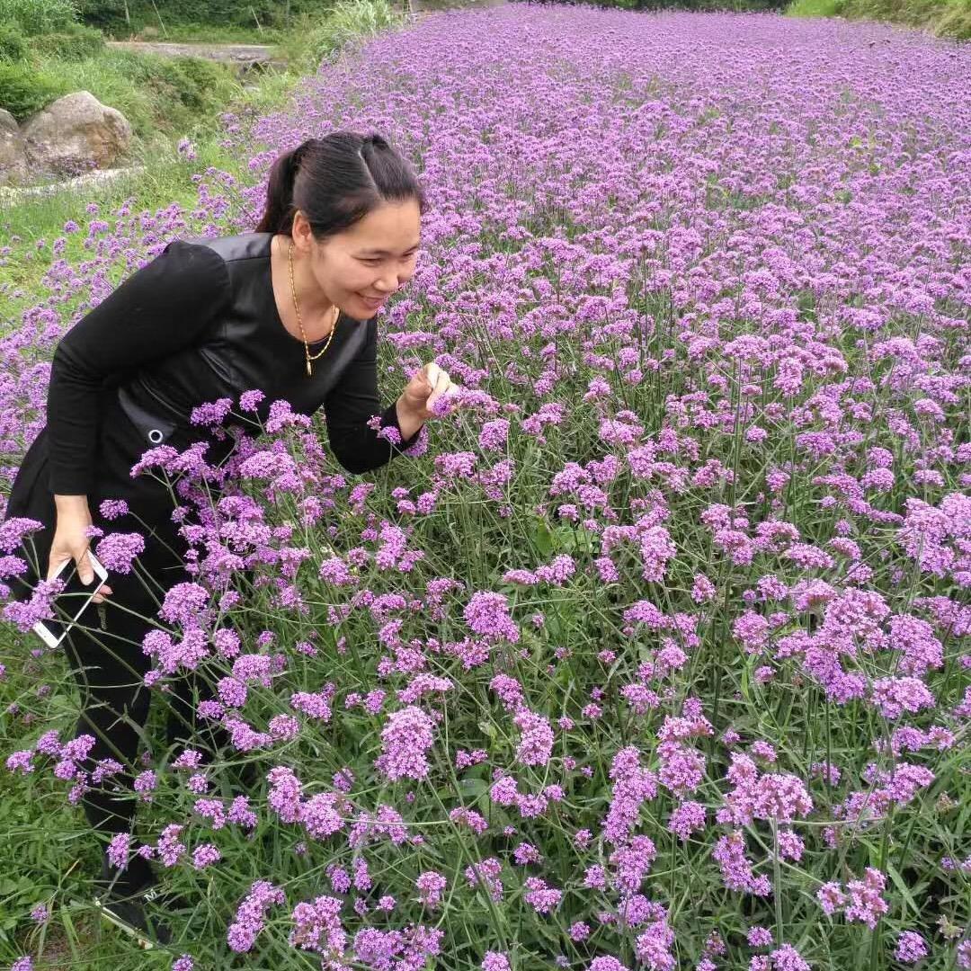 luo❤️燕子❤️💋