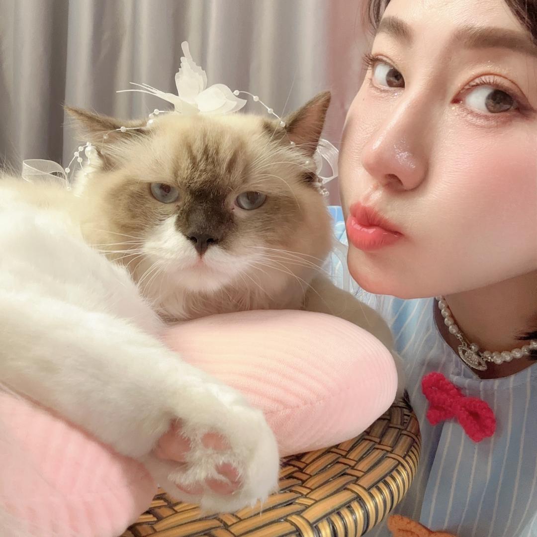 翠是猫不是🐷