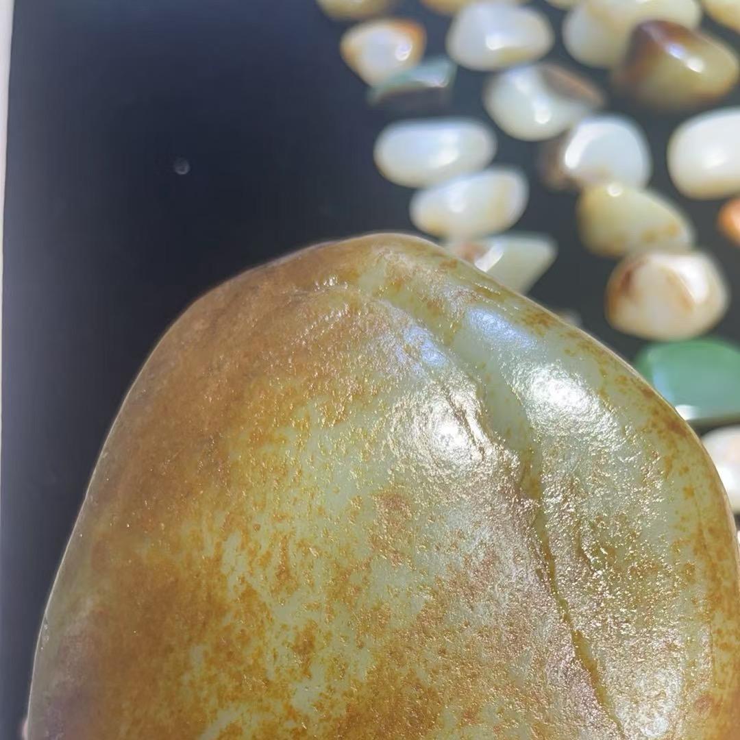 热古丽66