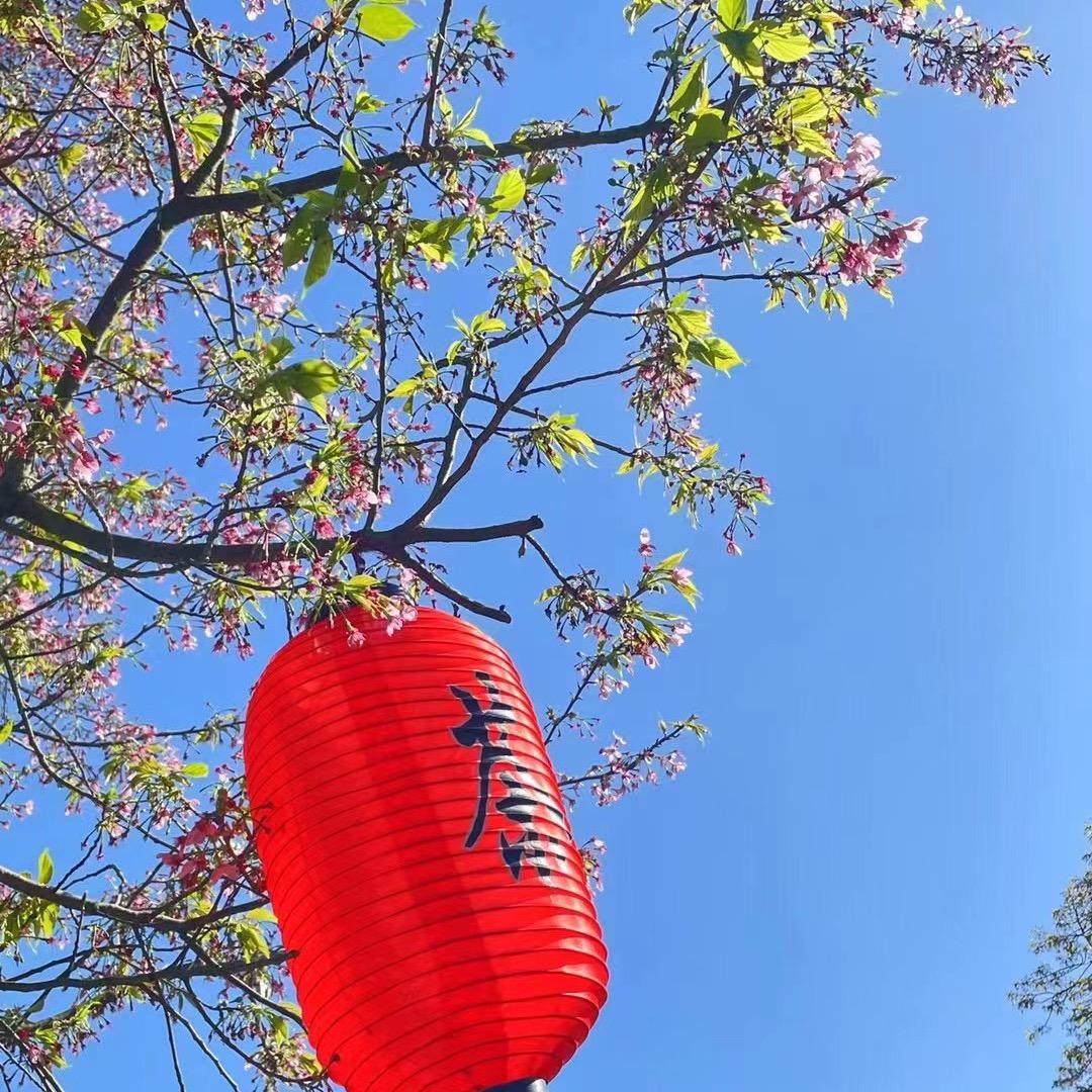 依茶伴香