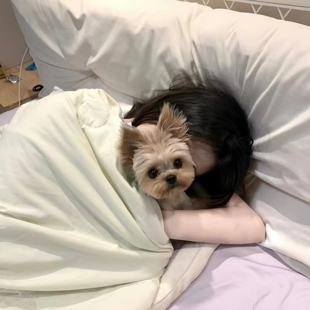 .他说晚安💤