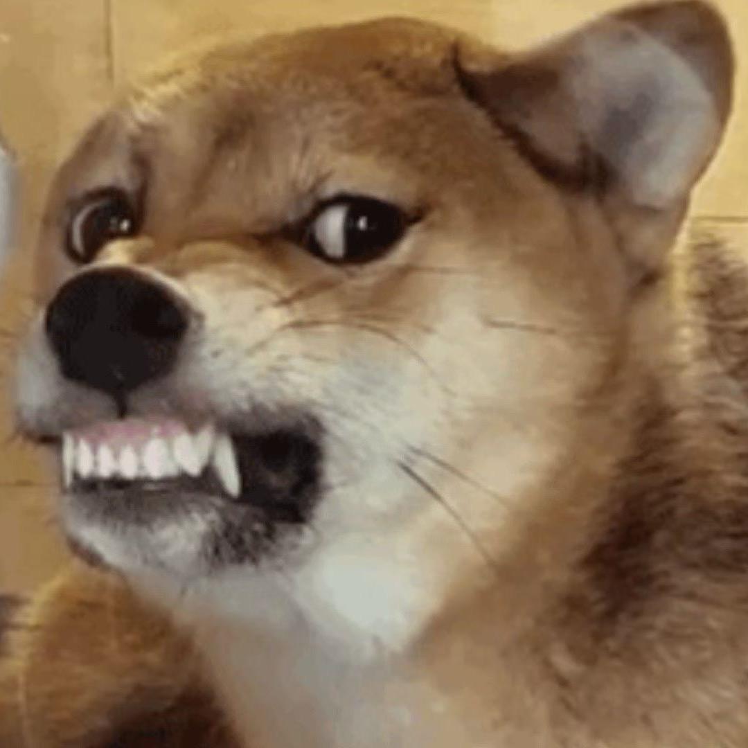 ㅤㅤㅤㅤㅤㅤㅤㅤㅤㅤㅤㅤ三年末