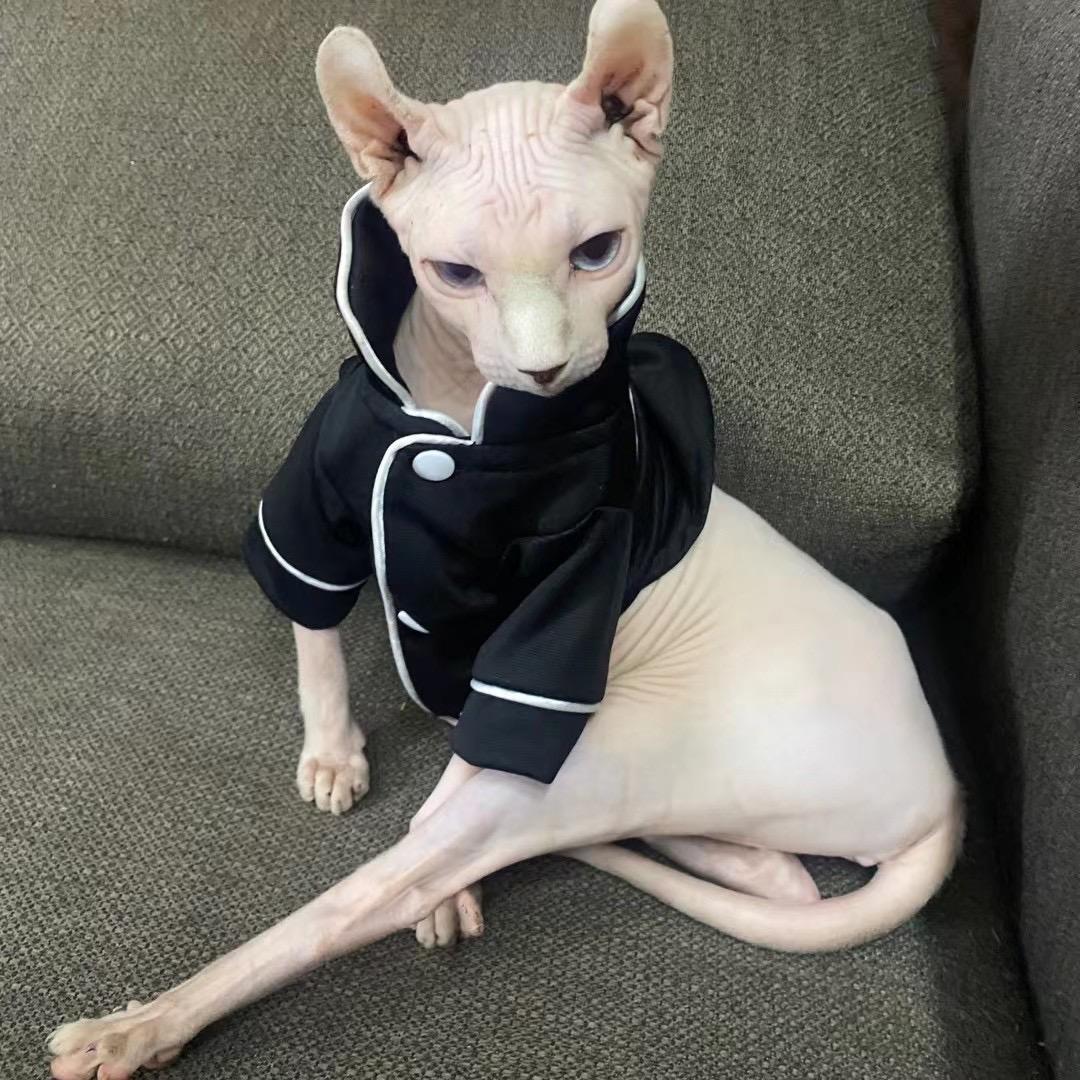 不洗头的大头
