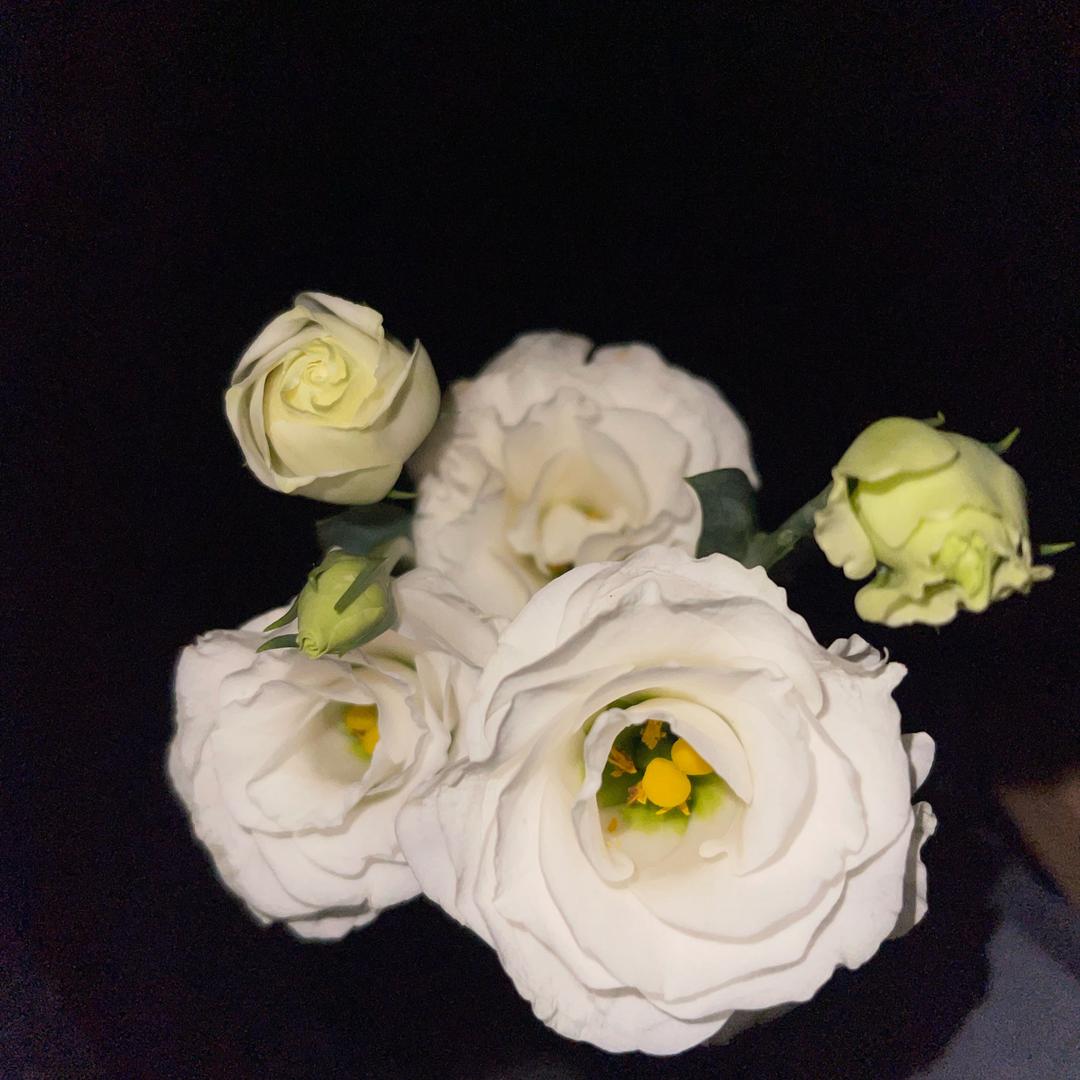 花姐 （深圳资深保洁员）