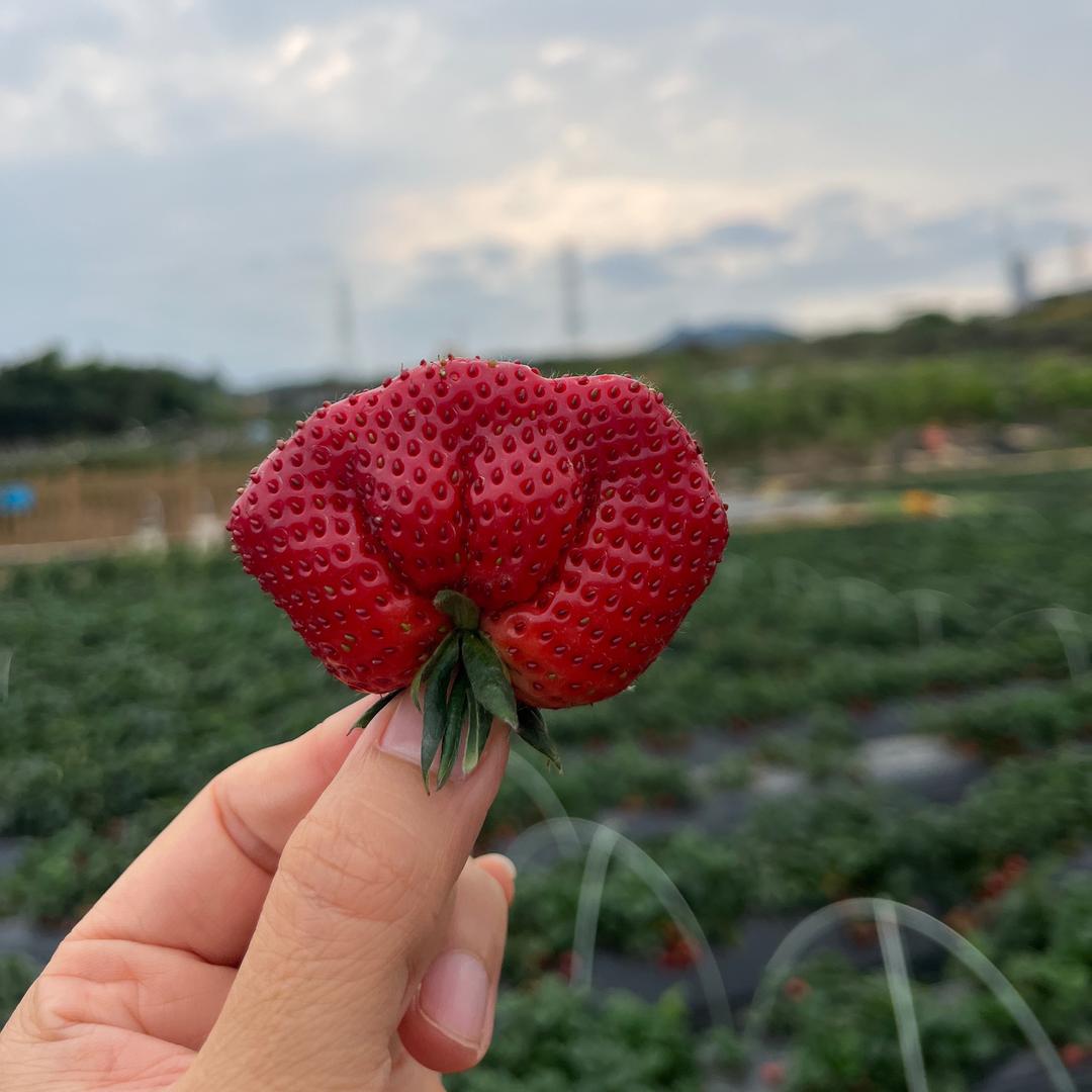 戒不掉你的温柔