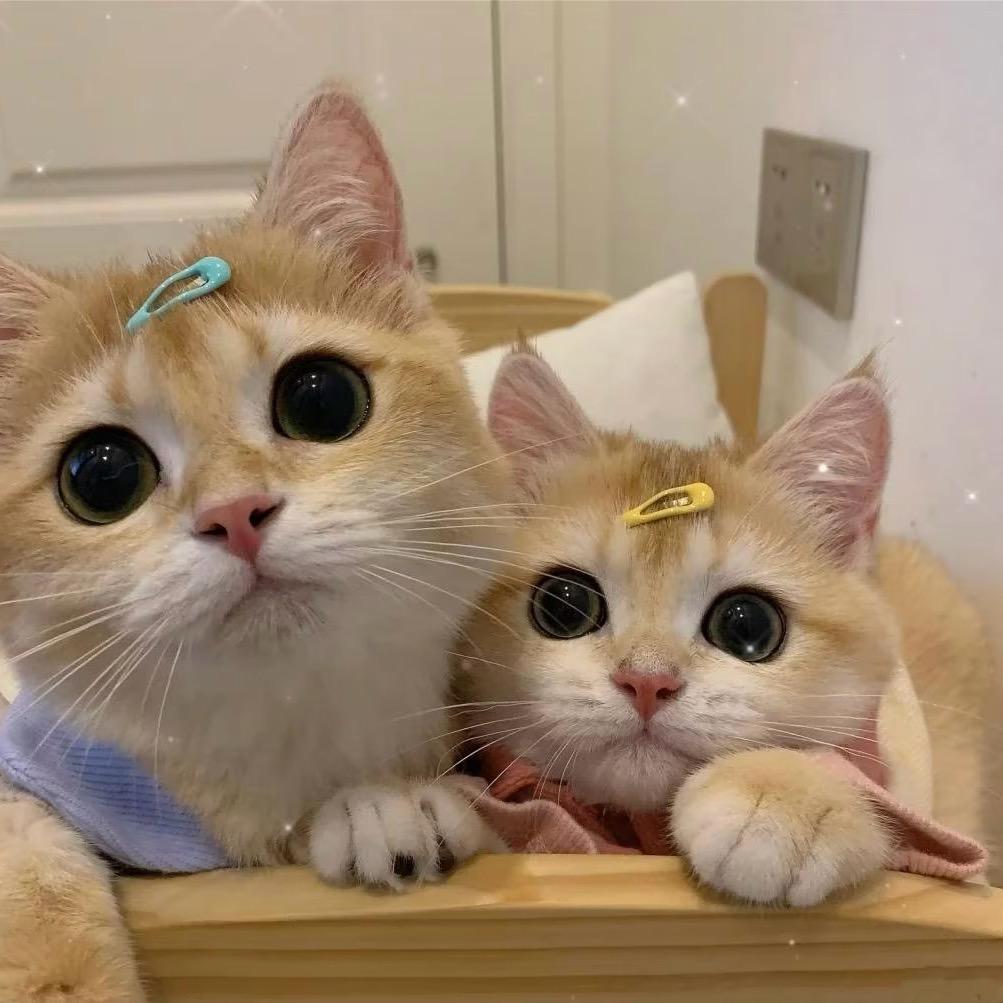 小团爱选品