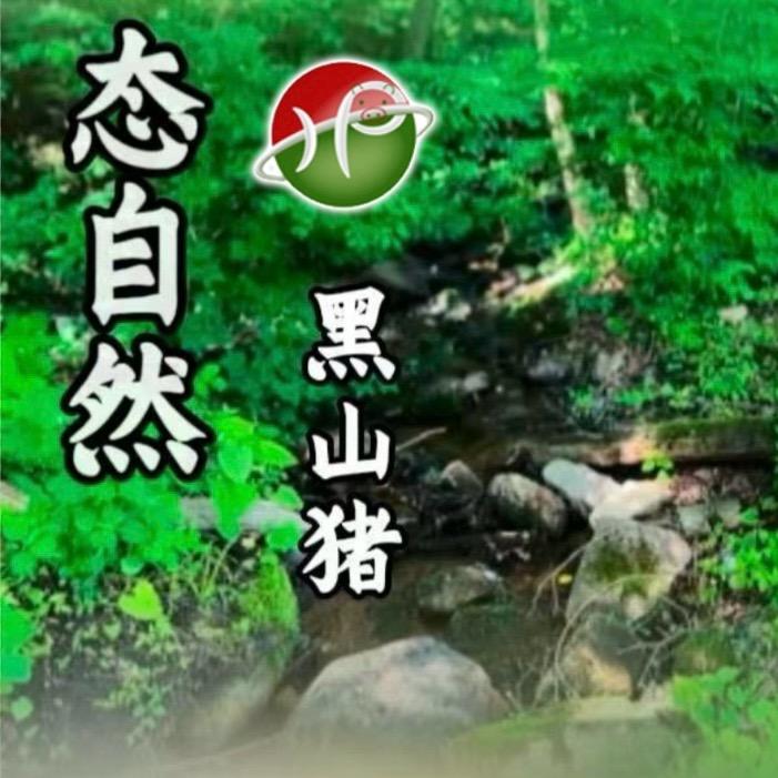 态自然 山黑猪