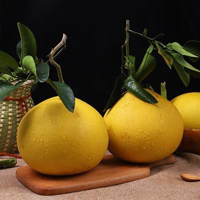 王老头生鲜直销店