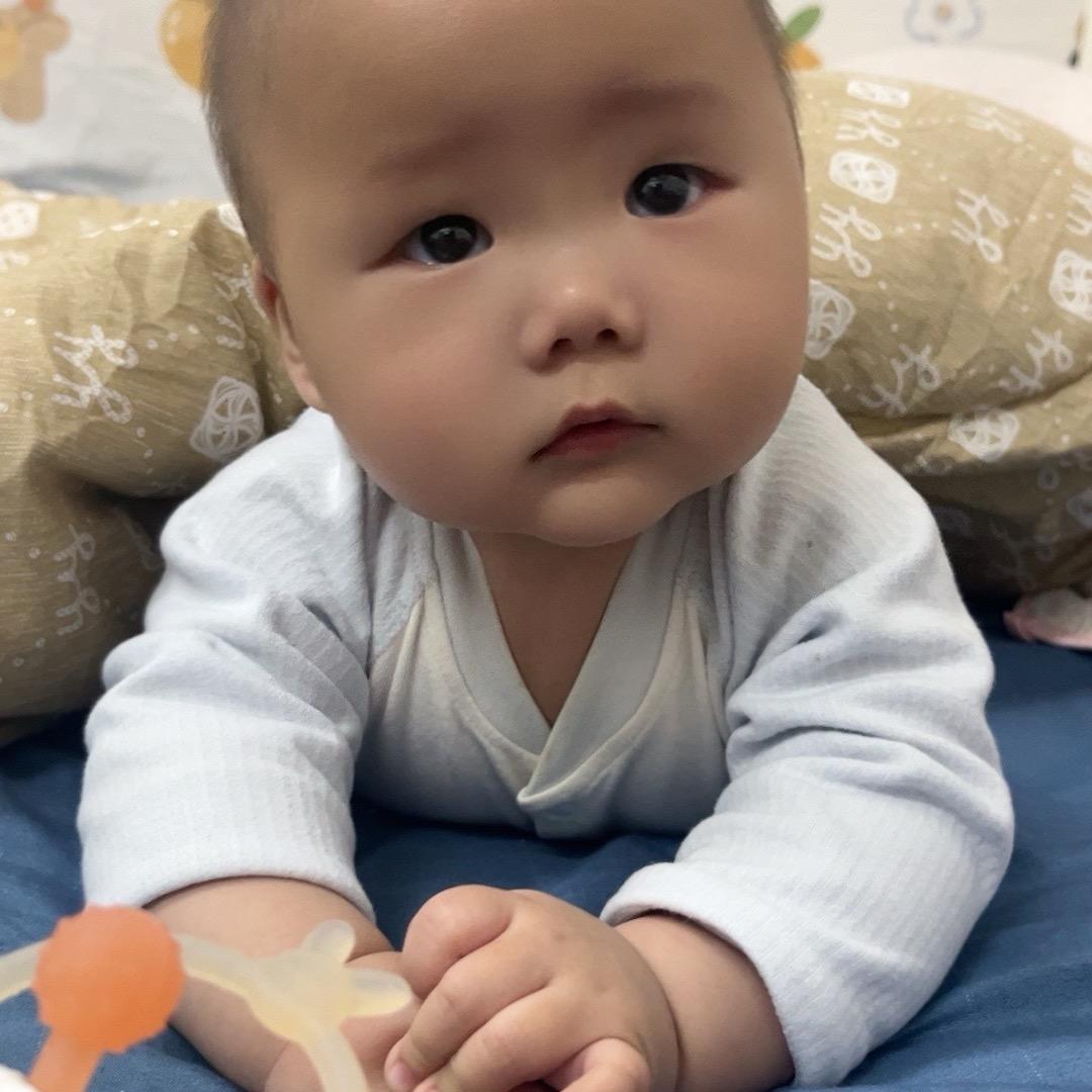 一只小龙宝🐉
