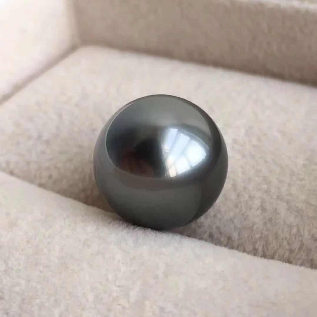 66开蚌3号