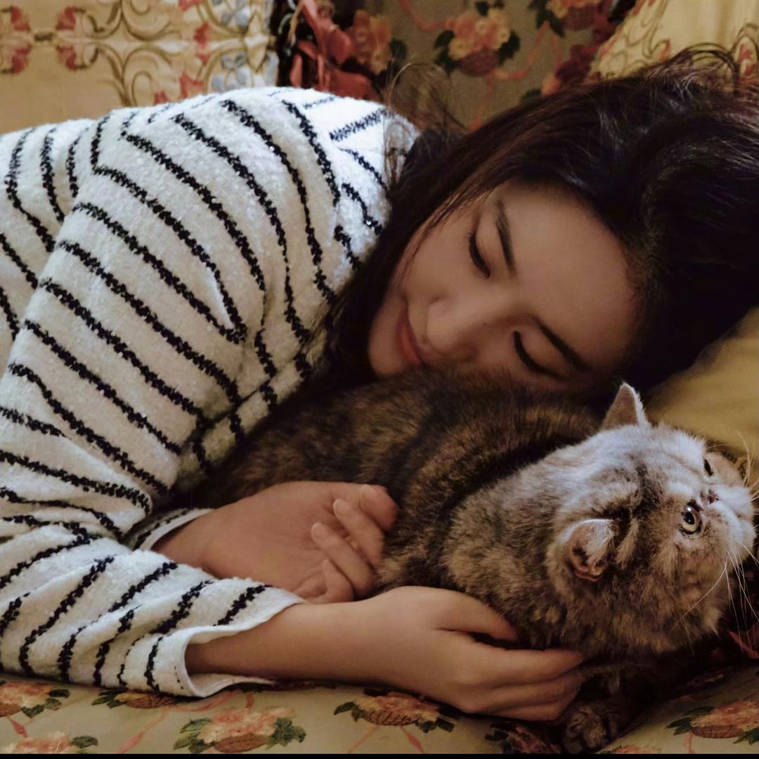 菜叶子