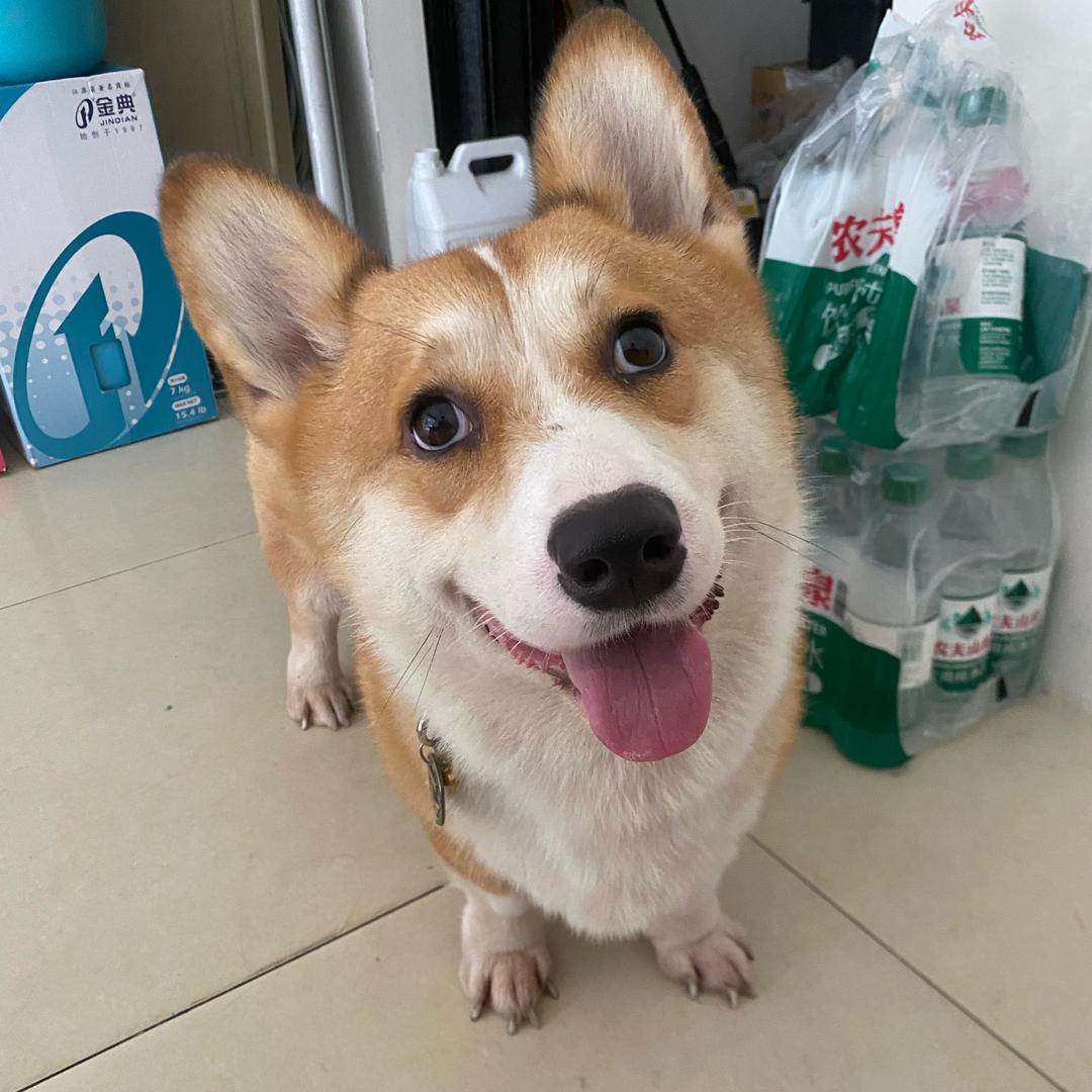 Allen（湘豫装饰）