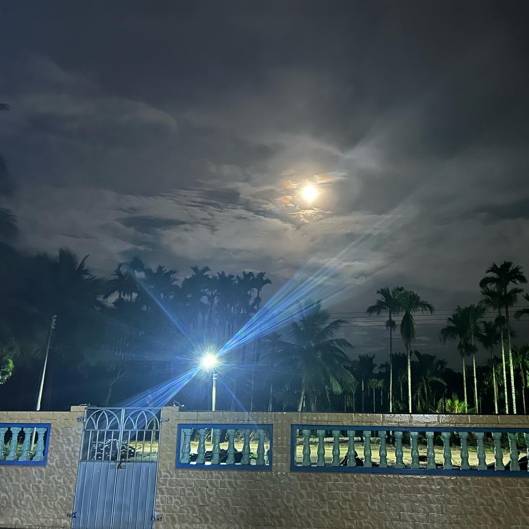 🌃！