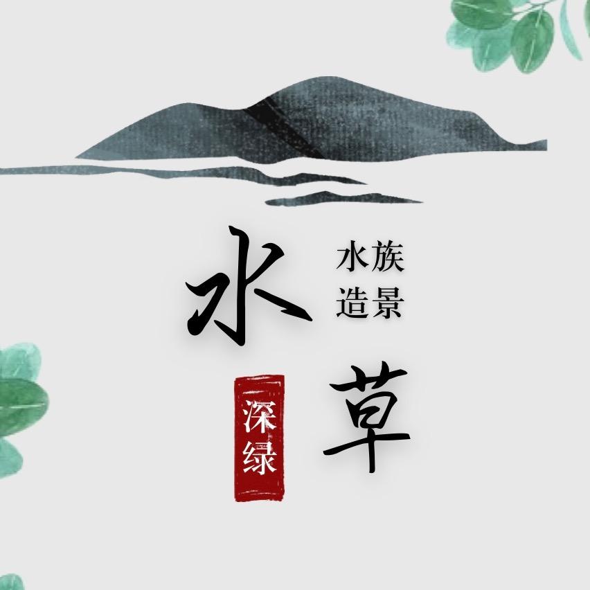 深绿水族造景